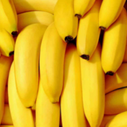 Banane Cavendish 1 kg